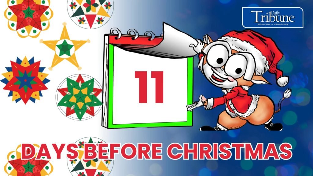 11 days left 'til Christmas, and the holiday rush is in full swing! Whether you’re finishing up last-minute shopping, preparing festive meals, or wrap