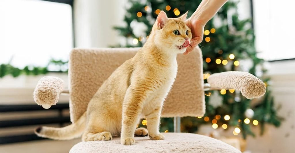 Fancy Feast’s premium wet cat food flavors almost sound like a menu fit for humans!  #BrandRap PURINA Philippines