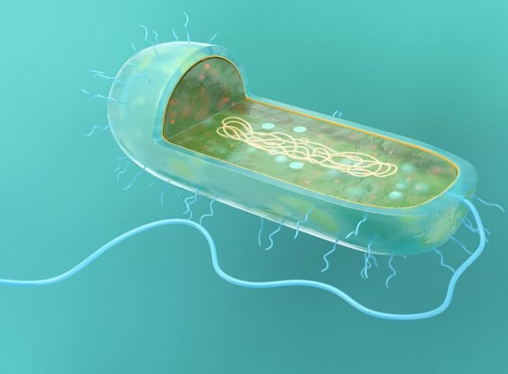 Image of an axon, with a callout box highlighting a portion of the cell membrane. It depicts three different electrodes and ion channels along the membrane.