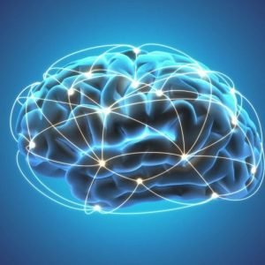 Brain Boost Intelligence Increase Concept