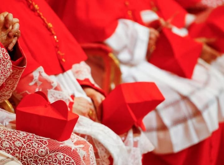 A cardinal is a high-ranking clergyman in the Roman Catholic Church who advises the Pope and elects the Pope's successor during a conclave.