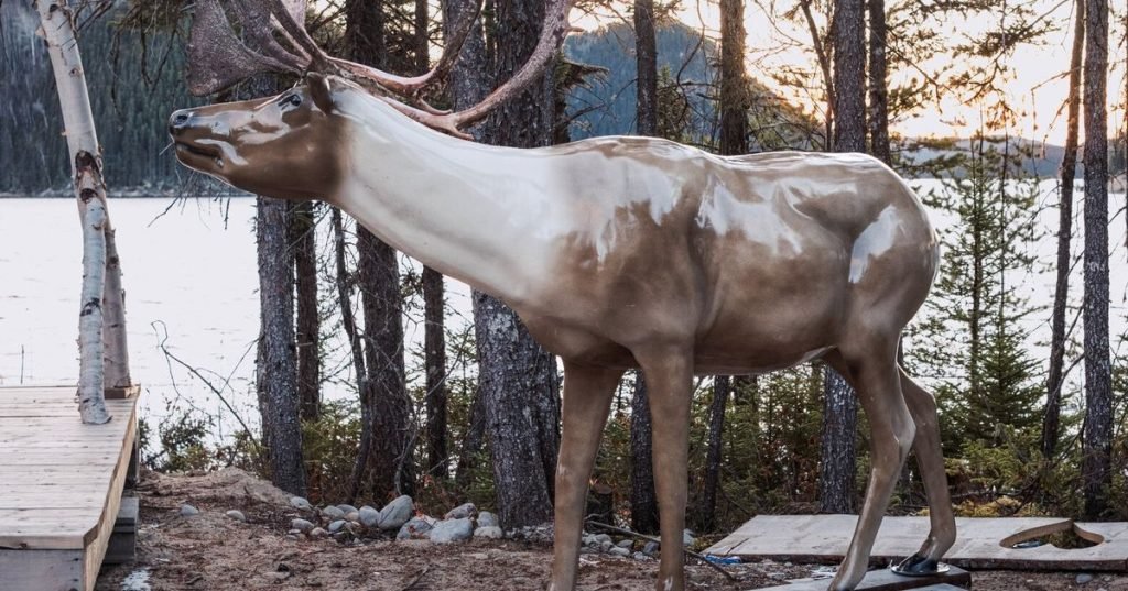 An Indigenous Group in Quebec Tries to Keep the Caribou Alive