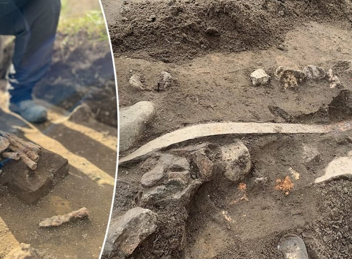 Archaeologists in Denmark uncover what they suggest is a weapons sacrifice during routine excavations