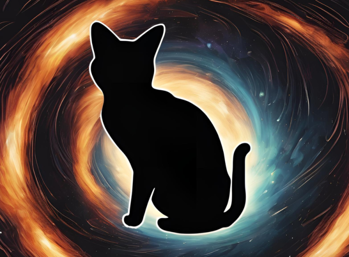 Are planet-killing black holes hiding inside your cat?