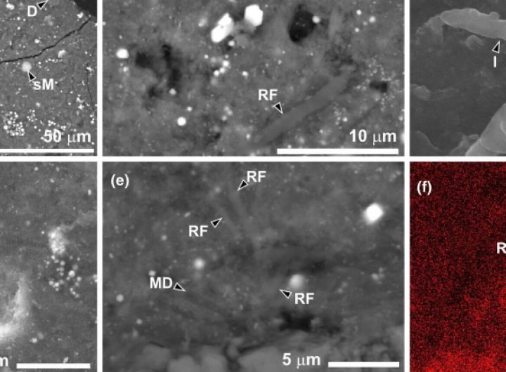 Asteroid Fragment Reveals Signs of Life, But It's Not What You Think : ScienceAlert