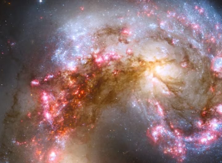 Astrophysicists Finally Have Answers on How The Largest Galaxies Form : ScienceAlert