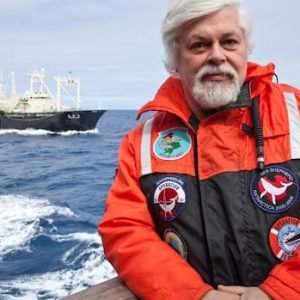 Canadian anti-whaling campaigner Paul Watson won't be extradited to face Japanese charges