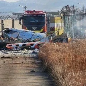 Cause of South Korea plane crash that killed 179 revealed after thunderous bangs heard