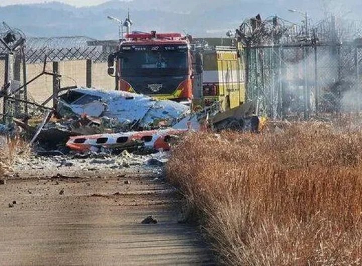 Cause of South Korea plane crash that killed 179 revealed after thunderous bangs heard