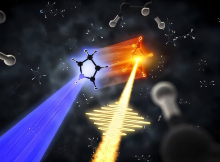 Experiments provide evidence that interaction of light with a hydrocarbon molecule produces strained molecular rings