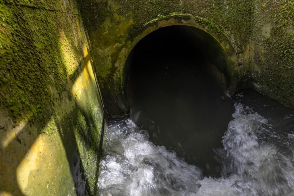 Government breached the law by allowing water firms to discharge sewage, watchdog finds