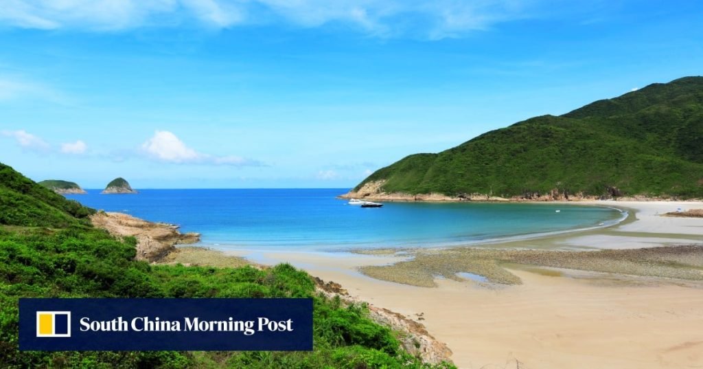 Hong Kong teenager sent to hospital after boar bites his toe on beach camping trip