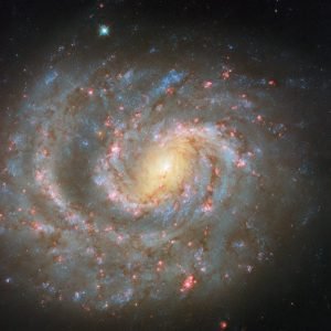 Spiral Galaxy NGC 1637