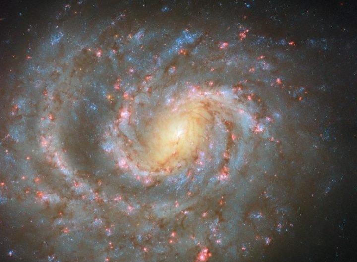 Spiral Galaxy NGC 1637