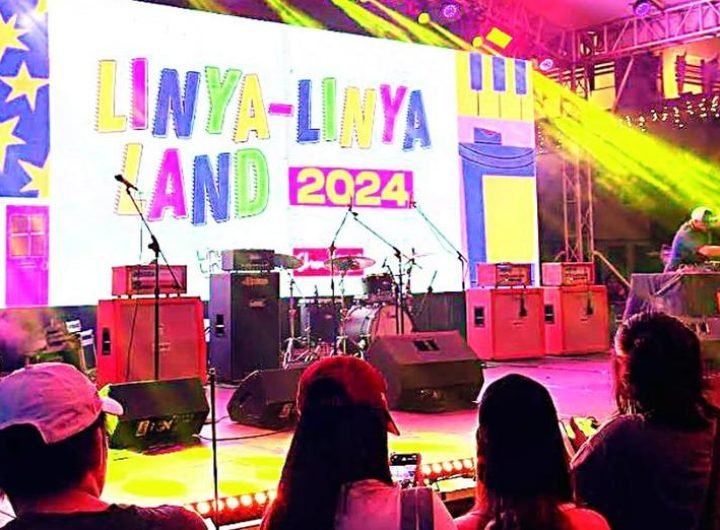 Linya-Linya Land returned to Mandala Park once again on Saturday, 30 November, for this year’s annual festival celebrating diversity.