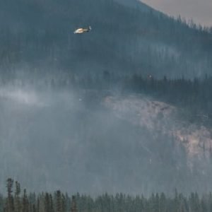 Long-term exposure to wildfire smoke associated with increased risk of dementia: study