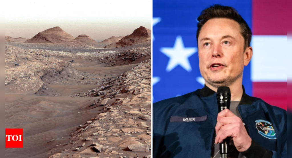 Mars or new world? Elon Musk’s bold plan to redefine humanity’s future on red planet