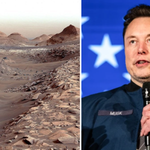 Mars or new world? Elon Musk’s bold plan to redefine humanity’s future on red planet