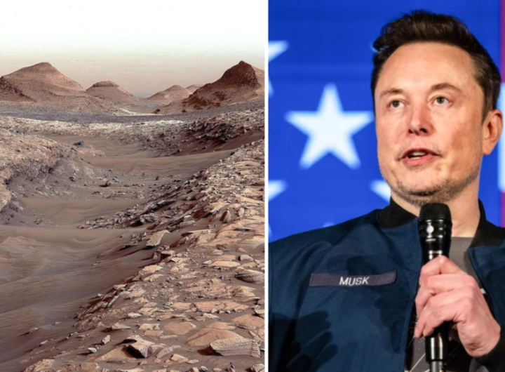 Mars or new world? Elon Musk’s bold plan to redefine humanity’s future on red planet