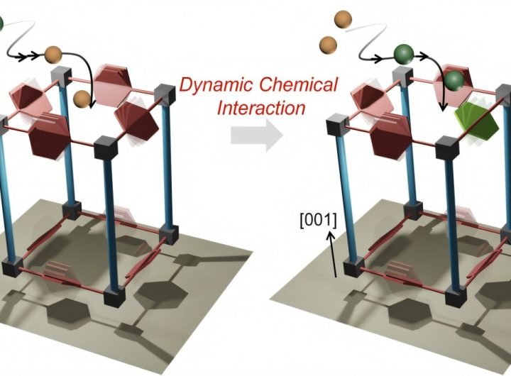 Metal-organic framework film improves isomer separation control