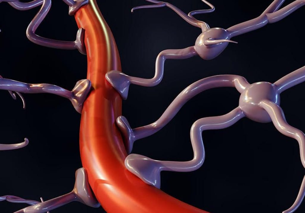 Image of an axon, with a callout box highlighting a portion of the cell membrane. It depicts three different electrodes and ion channels along the membrane.