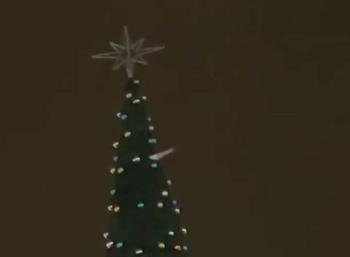 Moment man rescued from top of giant Christmas tree after sparking mass emergency response