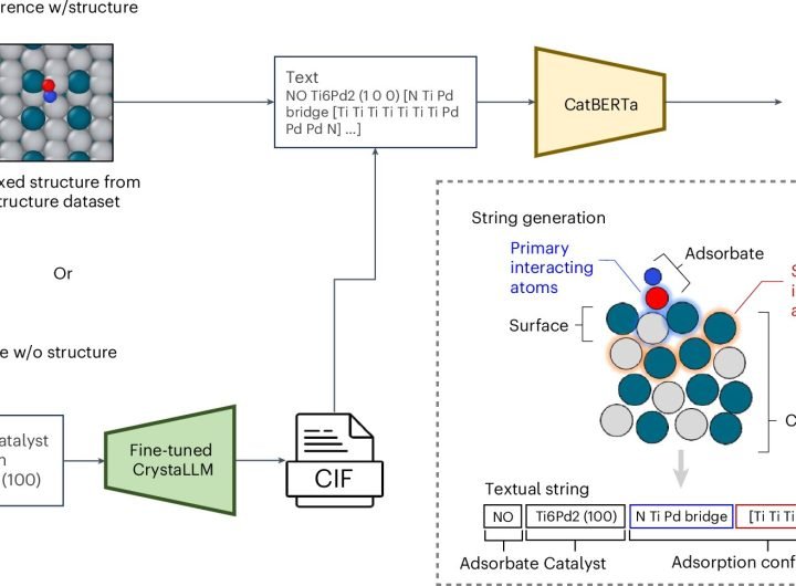 Multimodal machine learning model increases accuracy of catalyst screening