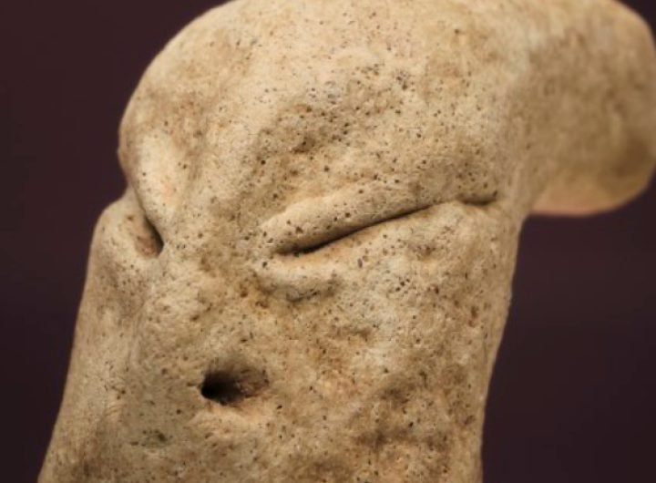 Mysterious 'Snake Person' Head From 7,500 Years Ago Raises Questions : ScienceAlert