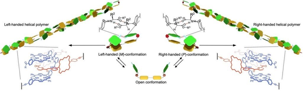 Nature inspires self-assembling helical polymer