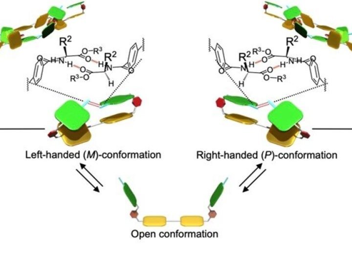 Nature inspires self-assembling helical polymer