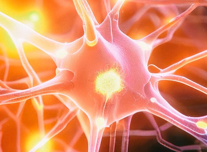 New Drug May Prevent Cognitive Decline in Parkinson's Disease : ScienceAlert