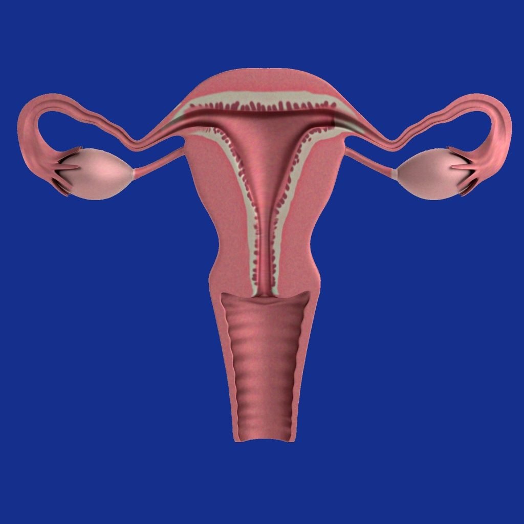 New international guidelines announced for premature ovarian insufficiency