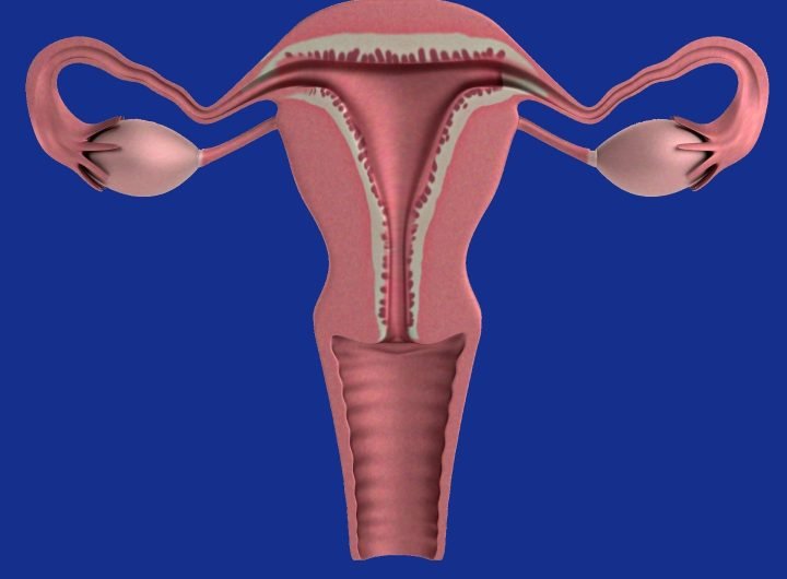 New international guidelines announced for premature ovarian insufficiency