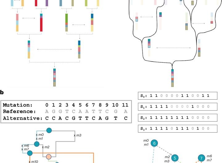 New method compresses terabytes of genomic data into gigabytes