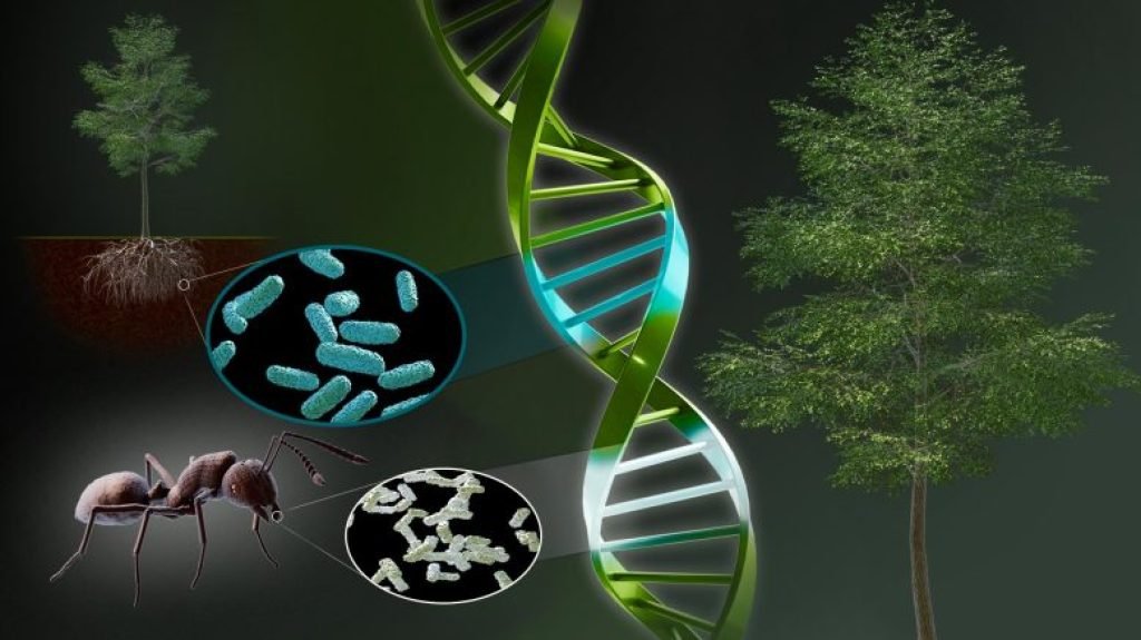 Chimera Photosynthesis Regulating Gene Origins