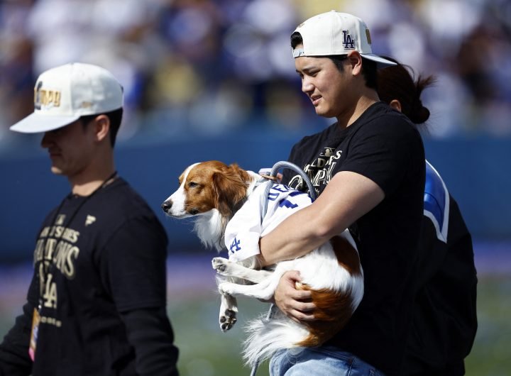 Shohei Ohtani LA Dodgers MLB