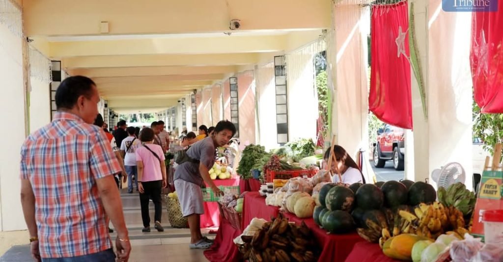 On Friday, 13 December 2024, pedestrians purchased fresh vegetables and other products from various stalls at the QC Fresh Market along the pathway of