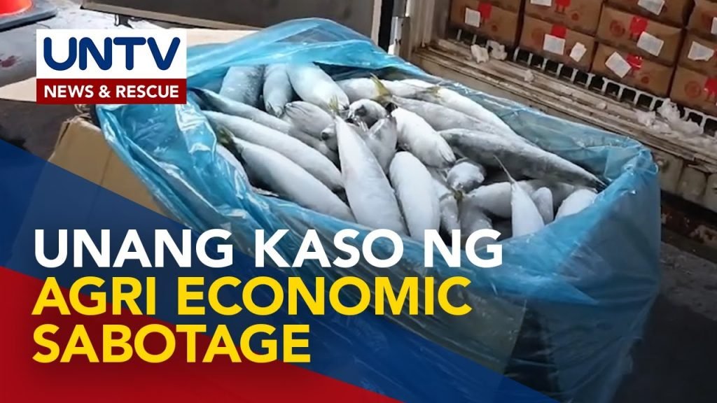 PBBM, ininspeksyon ang mga nakumpiskang frozen mackerel mula China