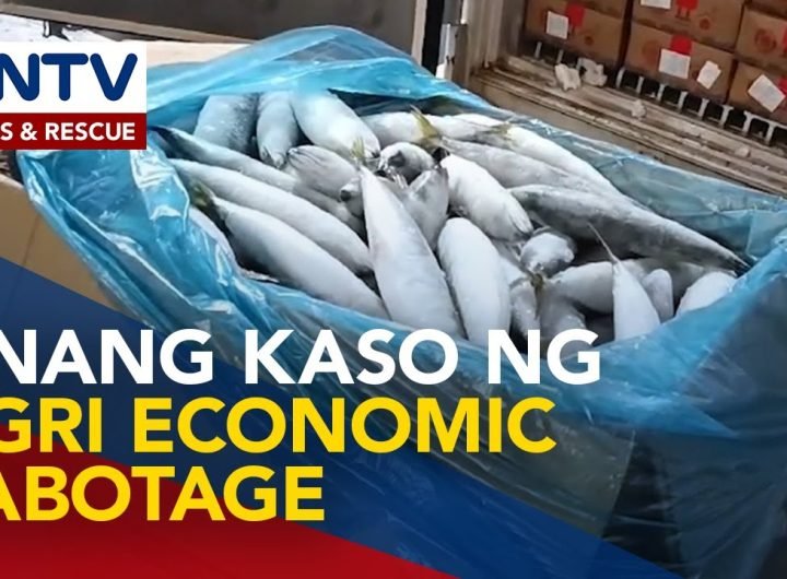 PBBM, ininspeksyon ang mga nakumpiskang frozen mackerel mula China