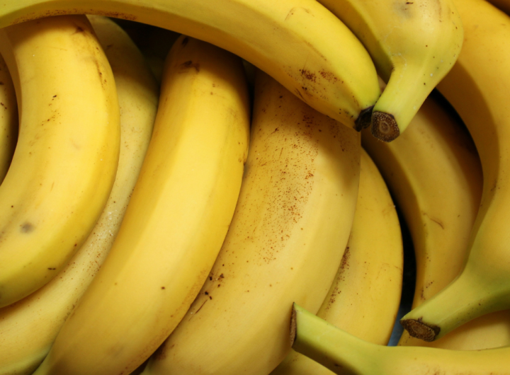 PH-South Korea trade pact a win for banana sector