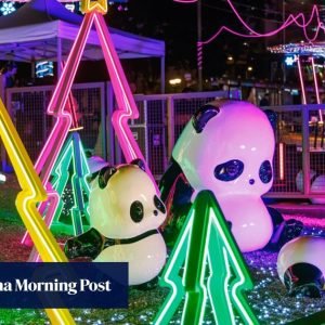 Panda poachers? Hong Kong police arrest visitor over theft of bear installation