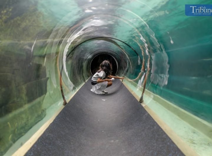 Philippines' first-ever Biodome at Manila Ocean Park