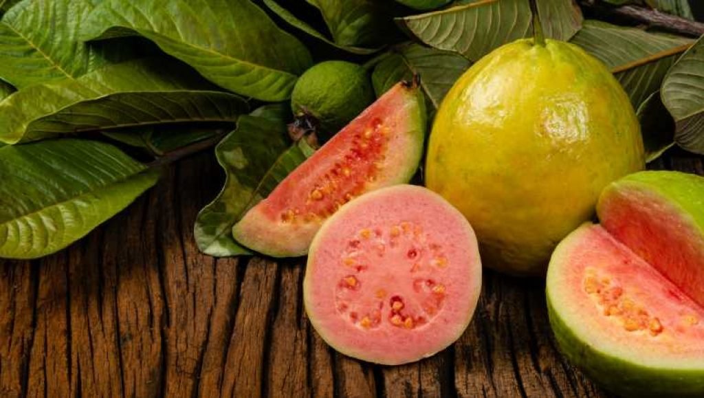 Pink Guava: 6 Health Benefits Of This Diabetes-friendly Fruit