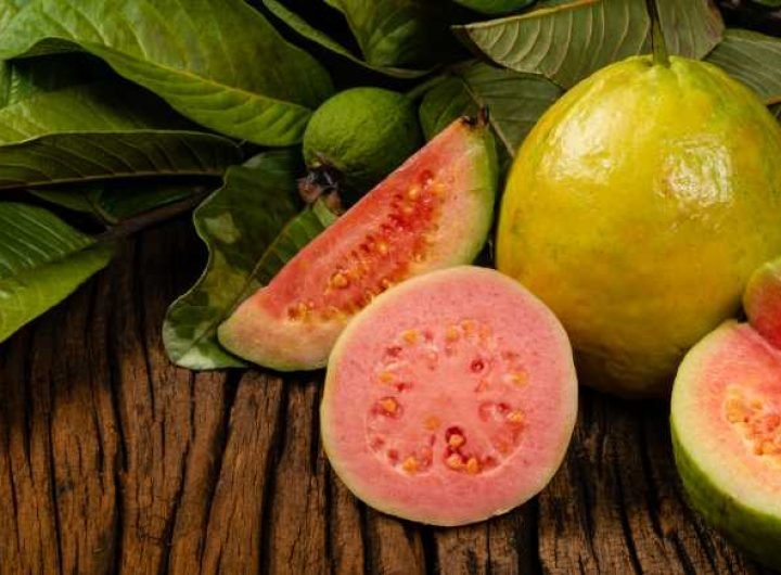 Pink Guava: 6 Health Benefits Of This Diabetes-friendly Fruit