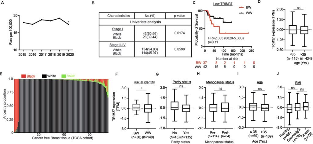 Promising biomarker could decode cause of aggressive breast cancer in women of color