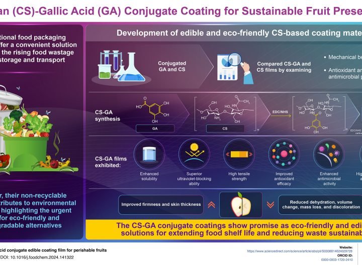 Researchers develop edible biofilm for extending fruit shelf life