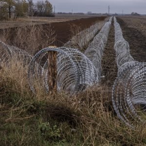 Russian paramilitary soldiers killed in friendly fire attack