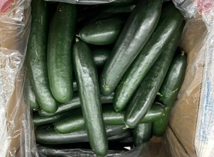 cucumbers