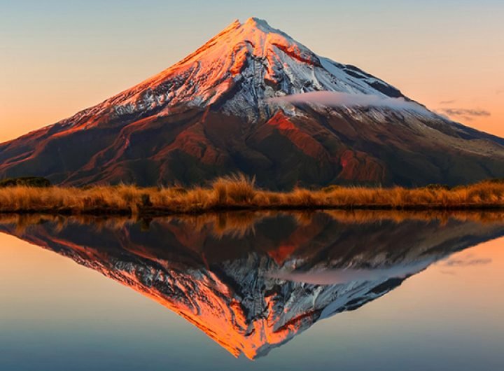 Scientists Urge Ban on 'Mirror Life' Before It Endangers Global Health : ScienceAlert