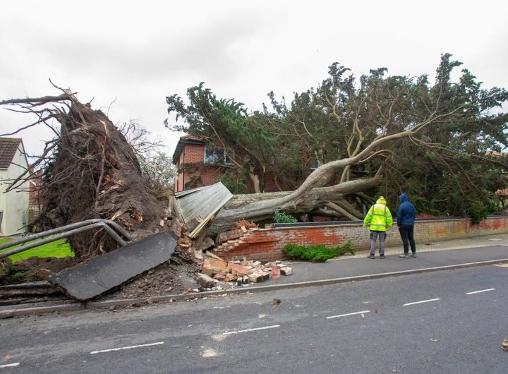 Storm Darragh live: Man dies as tree falls onto van while driving amid UK weather warnings